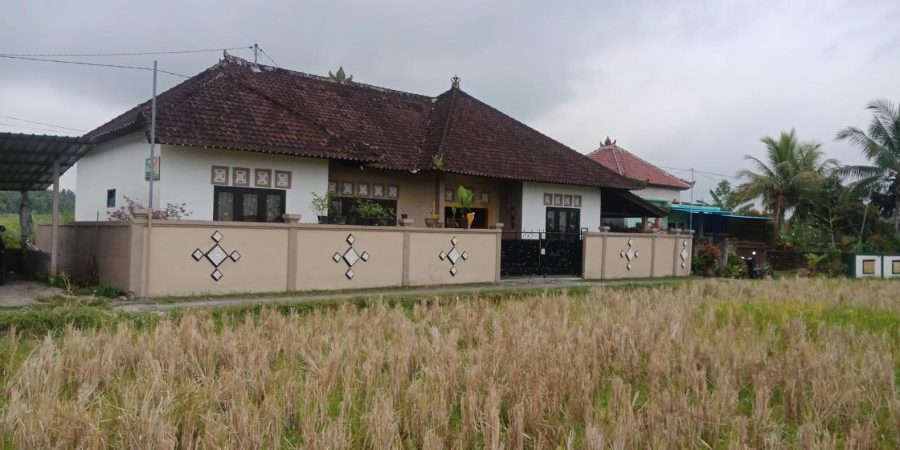 Ibu Ana Homestay Selemadeg Exterior foto